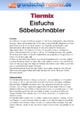 Eisfuchs - Säbelschnäbler.pdf